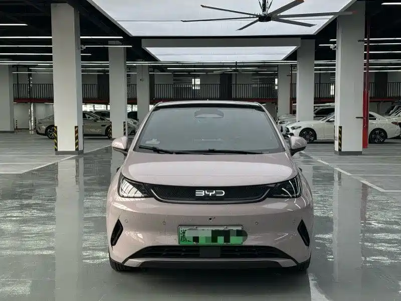 BYD Dolphin 2025 — фото 2