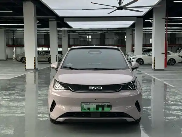 BYD Dolphin 2025