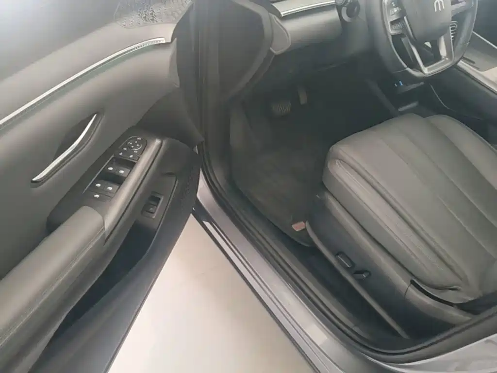 BYD Song Pro New Energy 2025 — фото 16