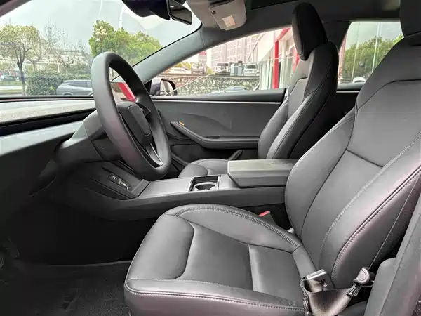 Tesla Model 3 2025