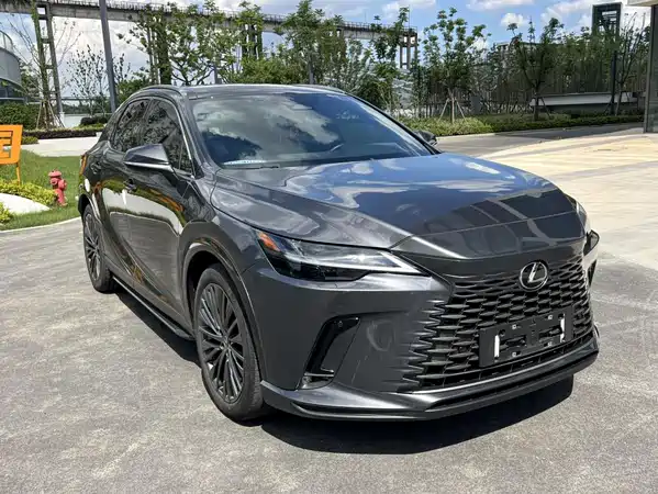 Lexus RX New Energy 2023