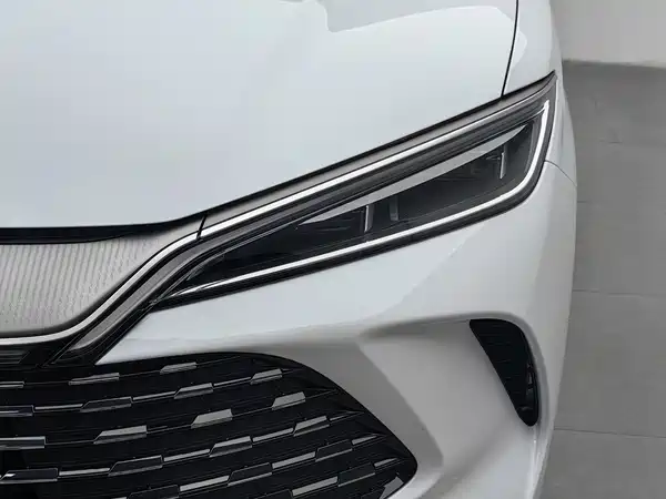 BYD Song L DM-i 2026