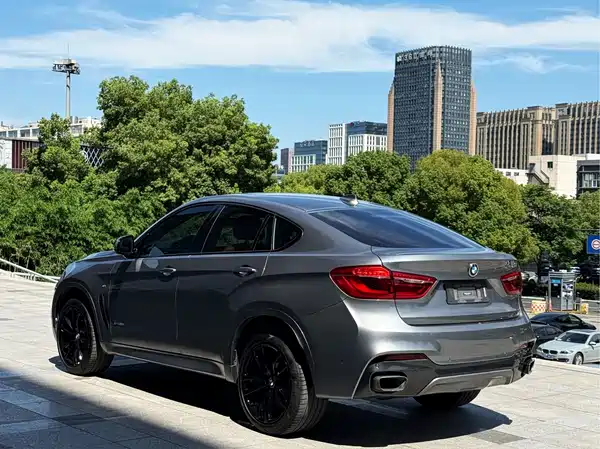 BMW X6 2019