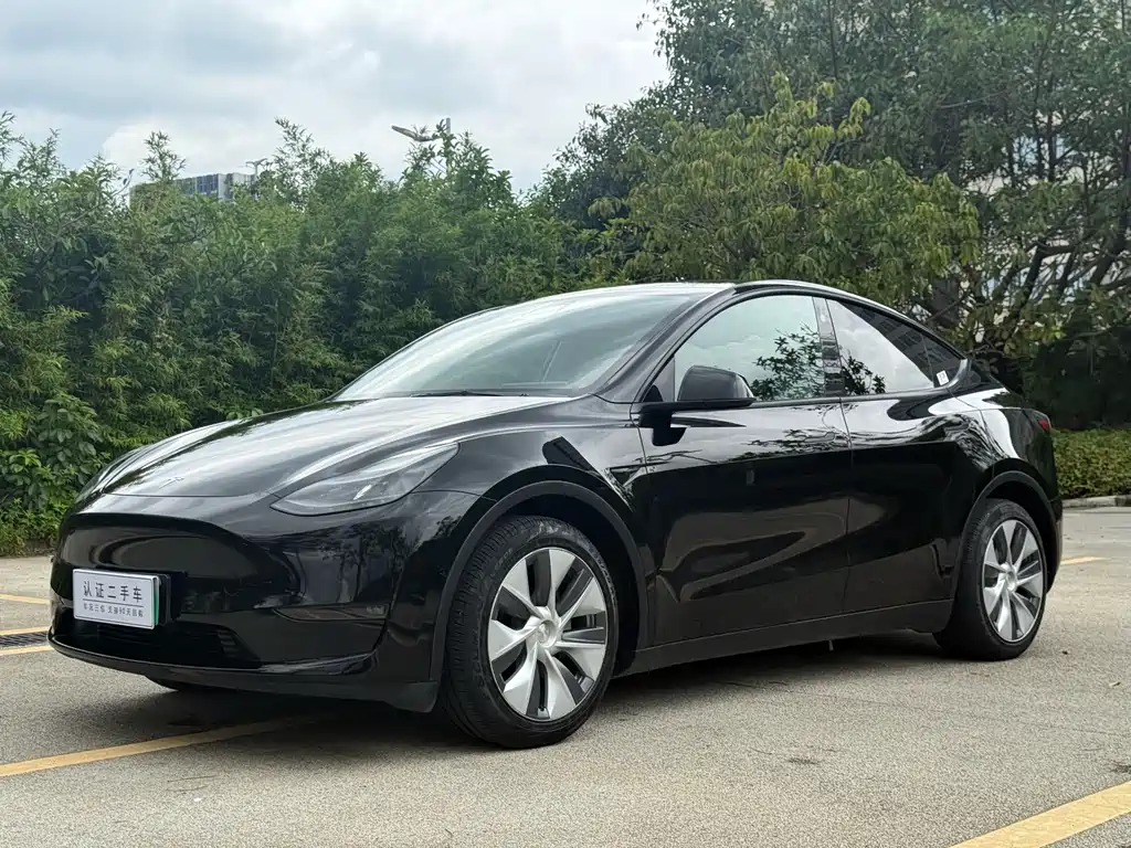 Tesla Model Y 2021 — фото 1