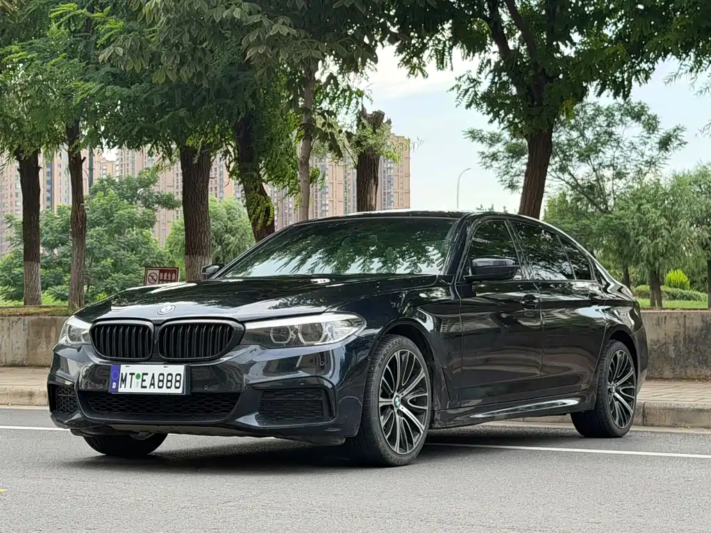 BMW 5 Series 2019