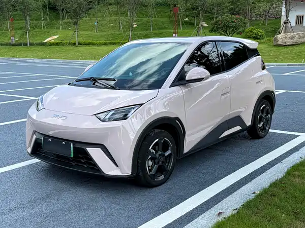 BYD Seagull 2024