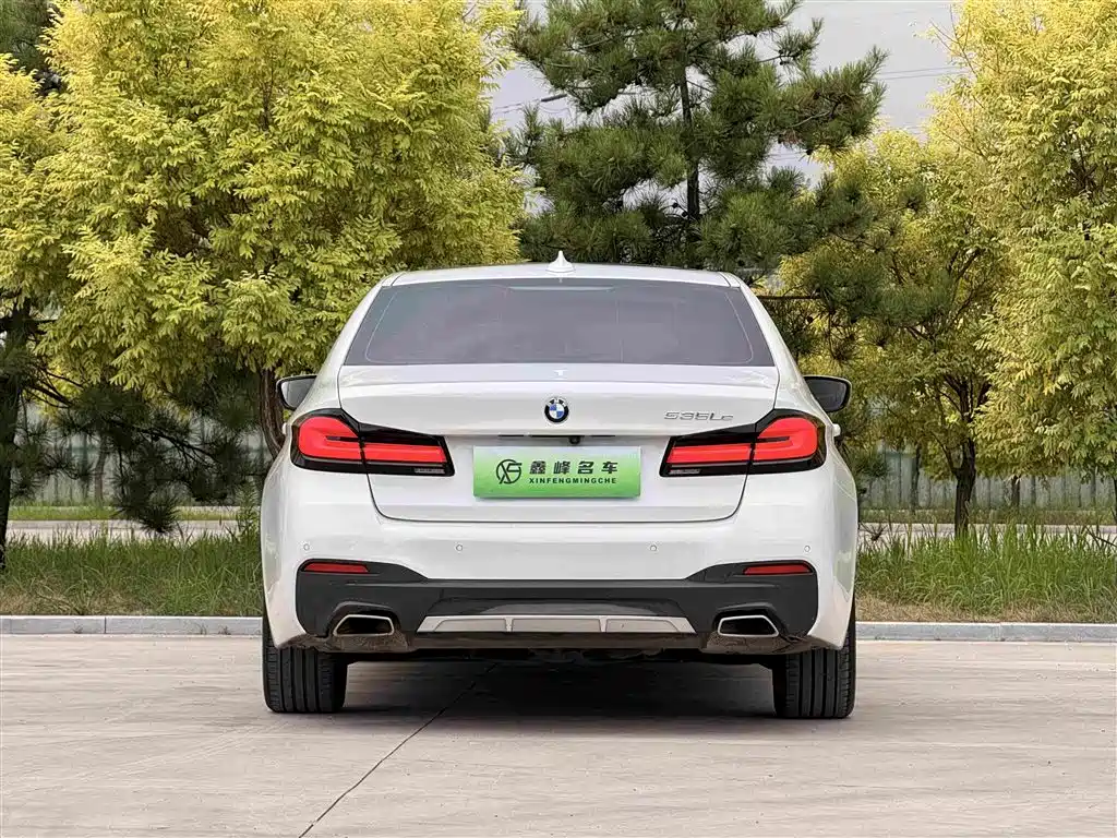 BMW 5 Series New Energy 2021 — фото 27