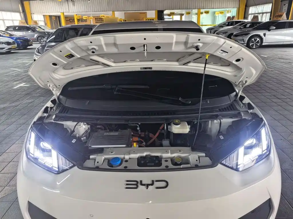 BYD Seagull 2025 — фото 20