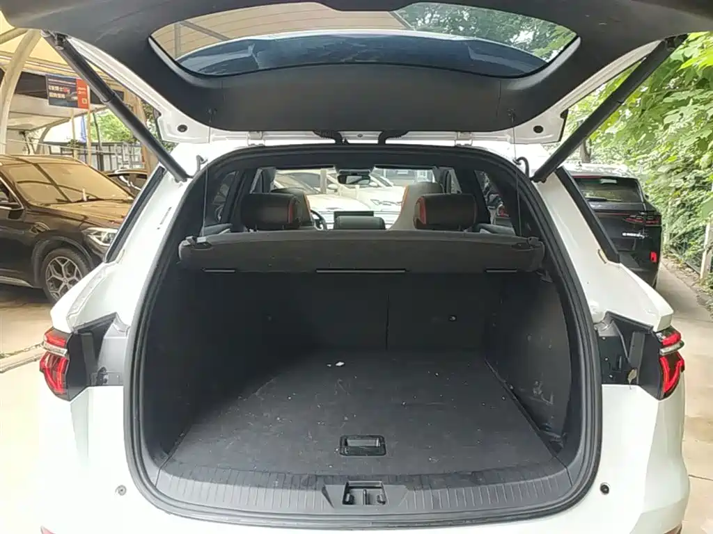 BYD Pro New Energy 2022 — фото 19