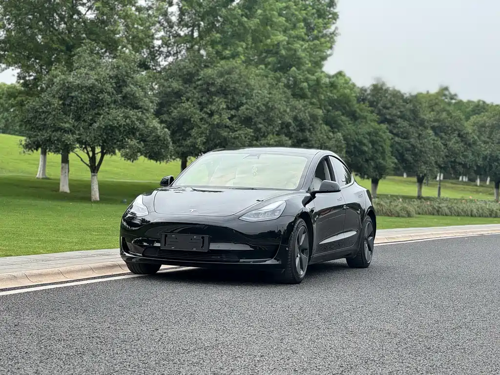 Tesla Model 3 2021
