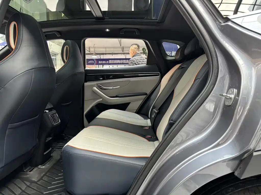 BYD PLUS New Energy 2022 — фото 11