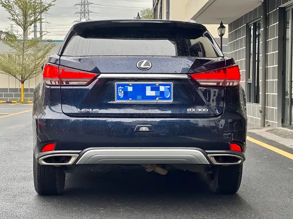 Lexus RX 2022 — фото 16