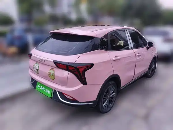 Neta V 2022