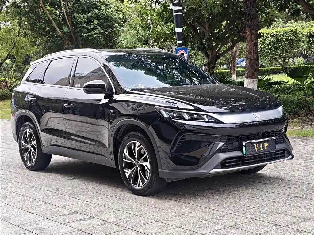 BYD Pro New Energy 2025 — фото 3