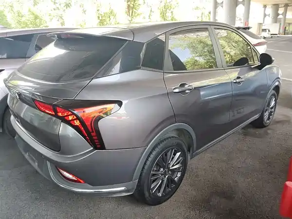 Neta V 2022