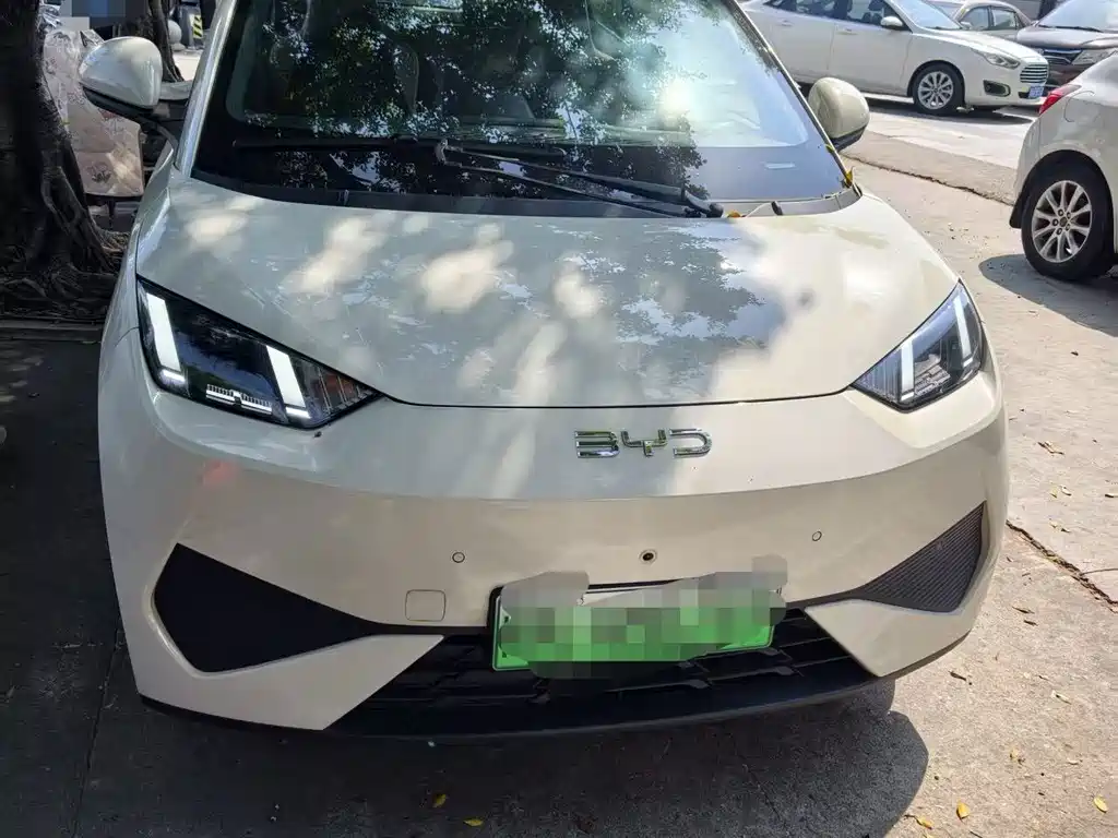 BYD Seagull 2025