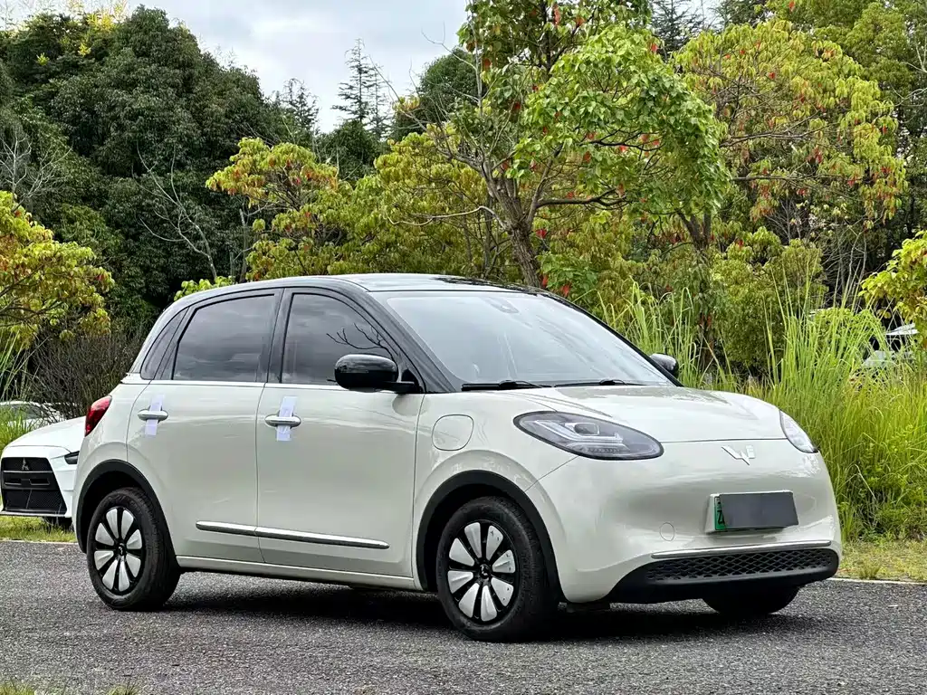 Wuling Bingo 2023