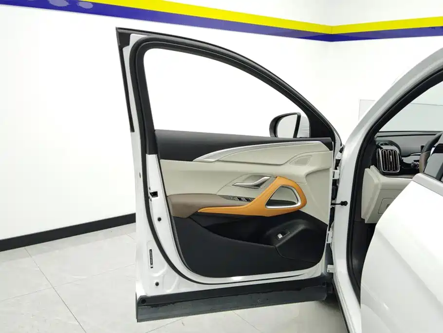 BYD Song Pro New Energy 2023 — фото 7