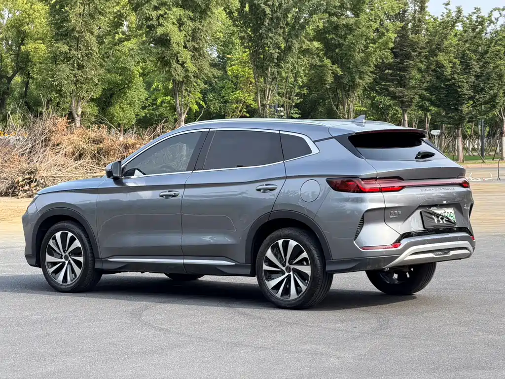 BYD PLUS New Energy 2024 — фото 13