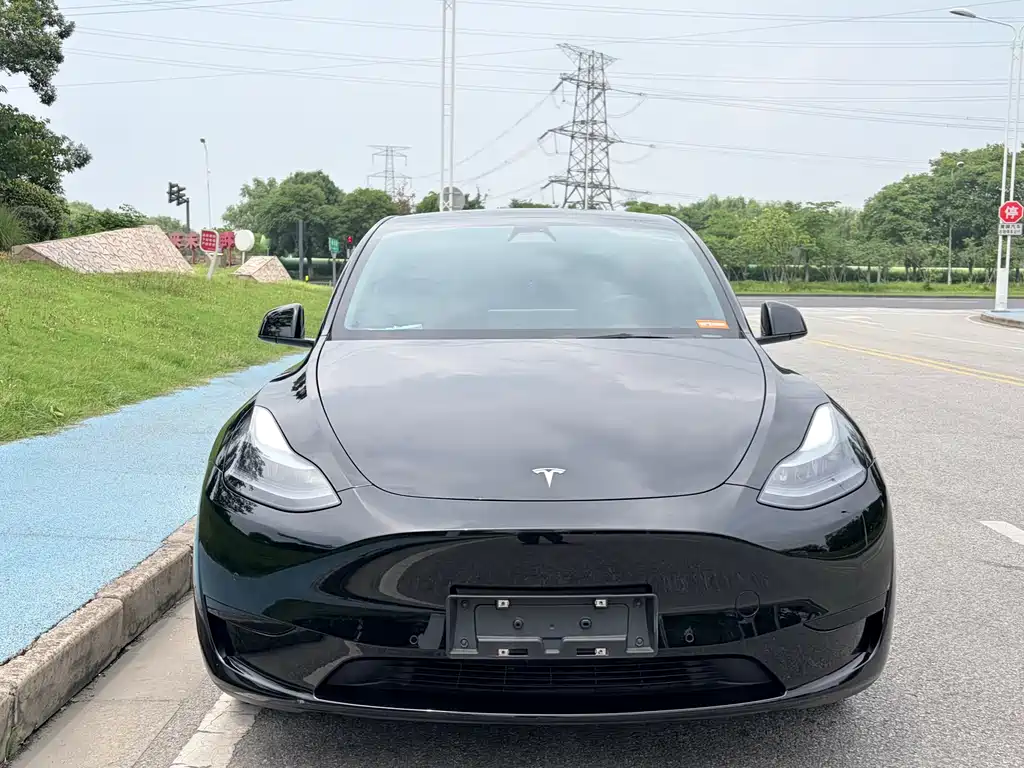 Tesla Model Y 2023 — фото 2