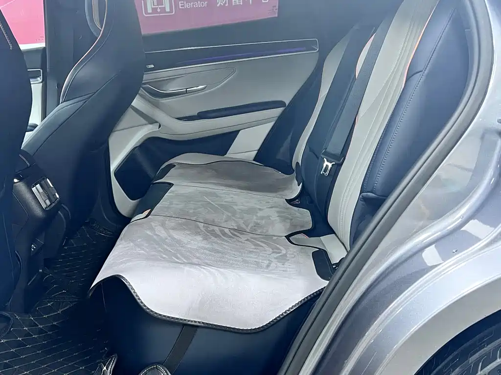 BYD PLUS New Energy 2022 — фото 6