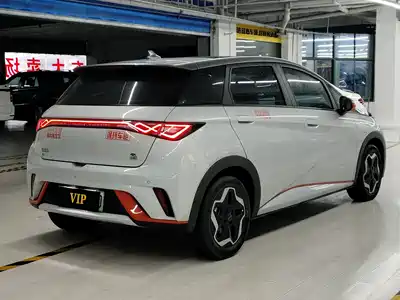 BYD Dolphin 2022