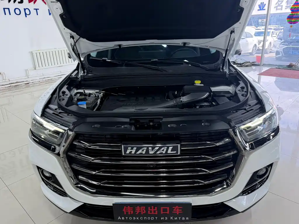 Haval H6 2023 — фото 22