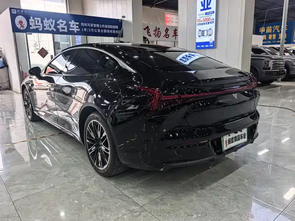 Neta S 2024