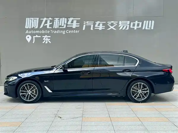 BMW 5 Series New Energy 2022