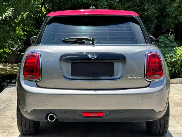 MINI 2019