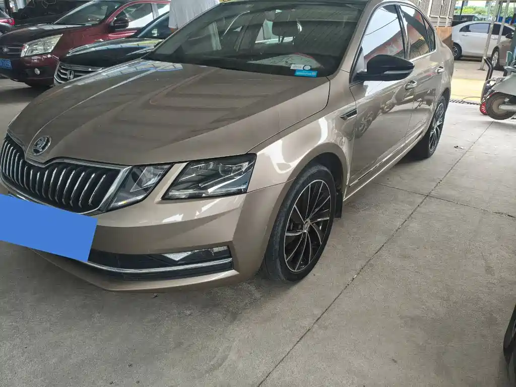 Skoda Octavia 2019 — фото 1