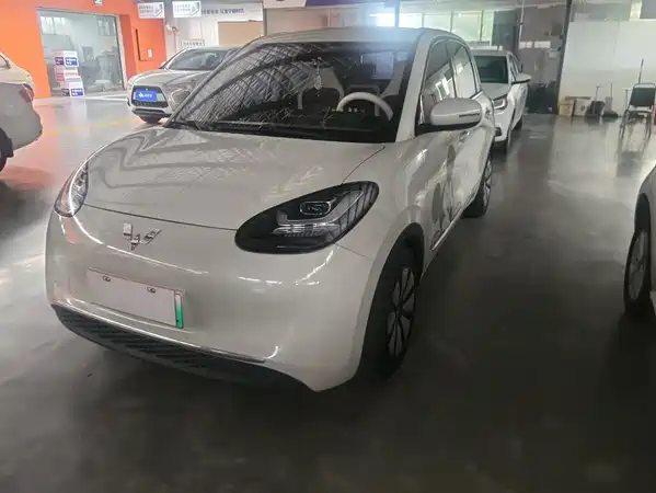 Wuling Bingo 2024