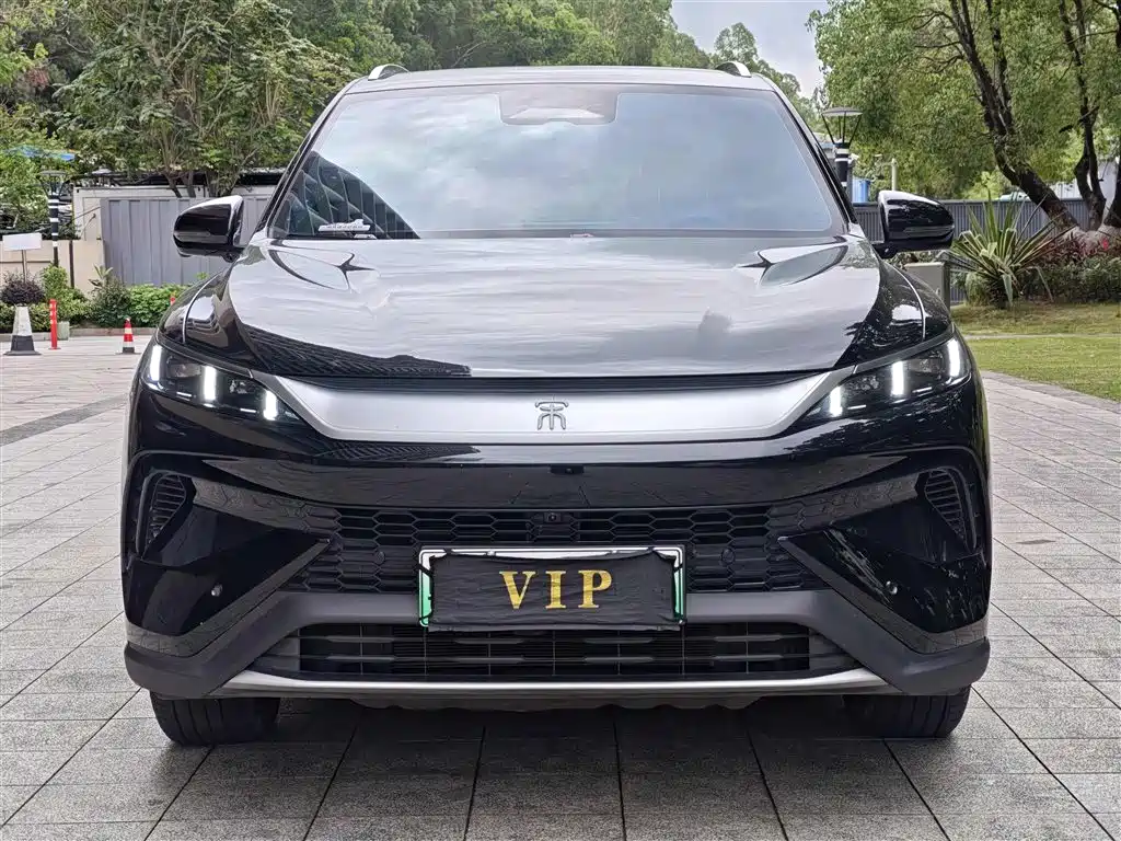 BYD Pro New Energy 2025 — фото 2