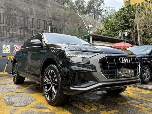 Audi Q8 2021