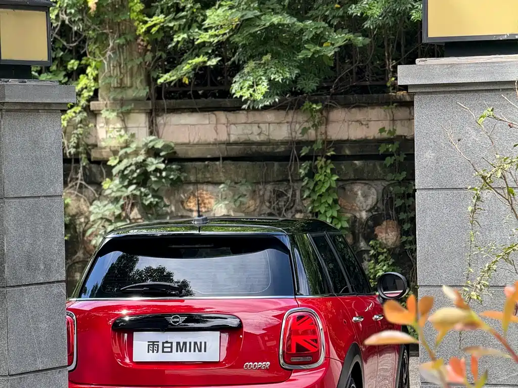 MINI MINI 2019 — фото 16