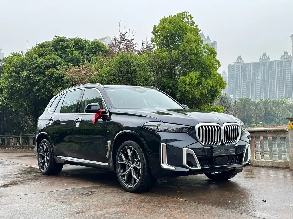 BMW X5 2025 — фото 3