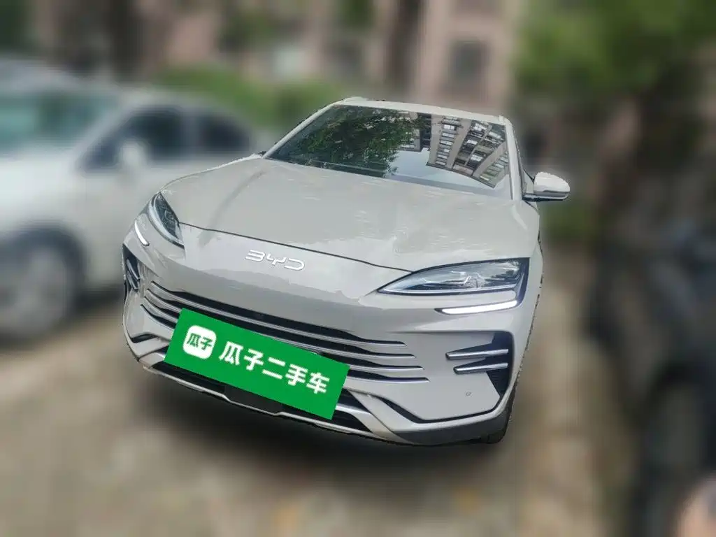 BYD Song PLUS New Energy 2025 — фото 1