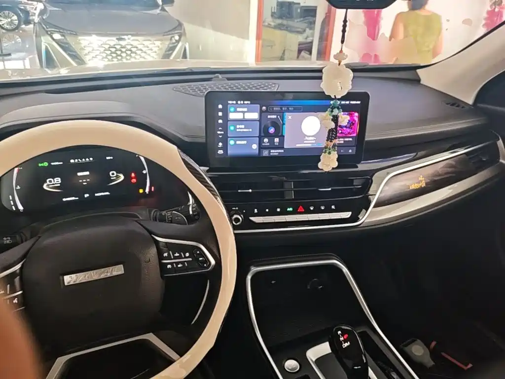 Haval H6 2022 — фото 10
