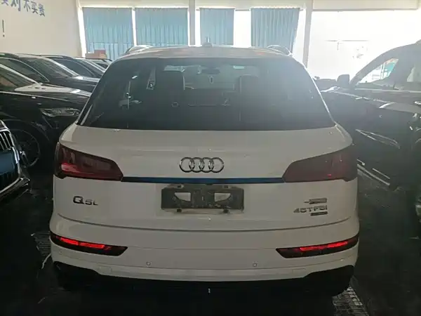 Audi Q5L 2019