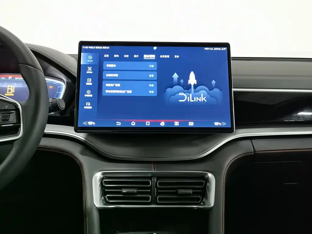 BYD Song PLUS New Energy 2023 — фото 12