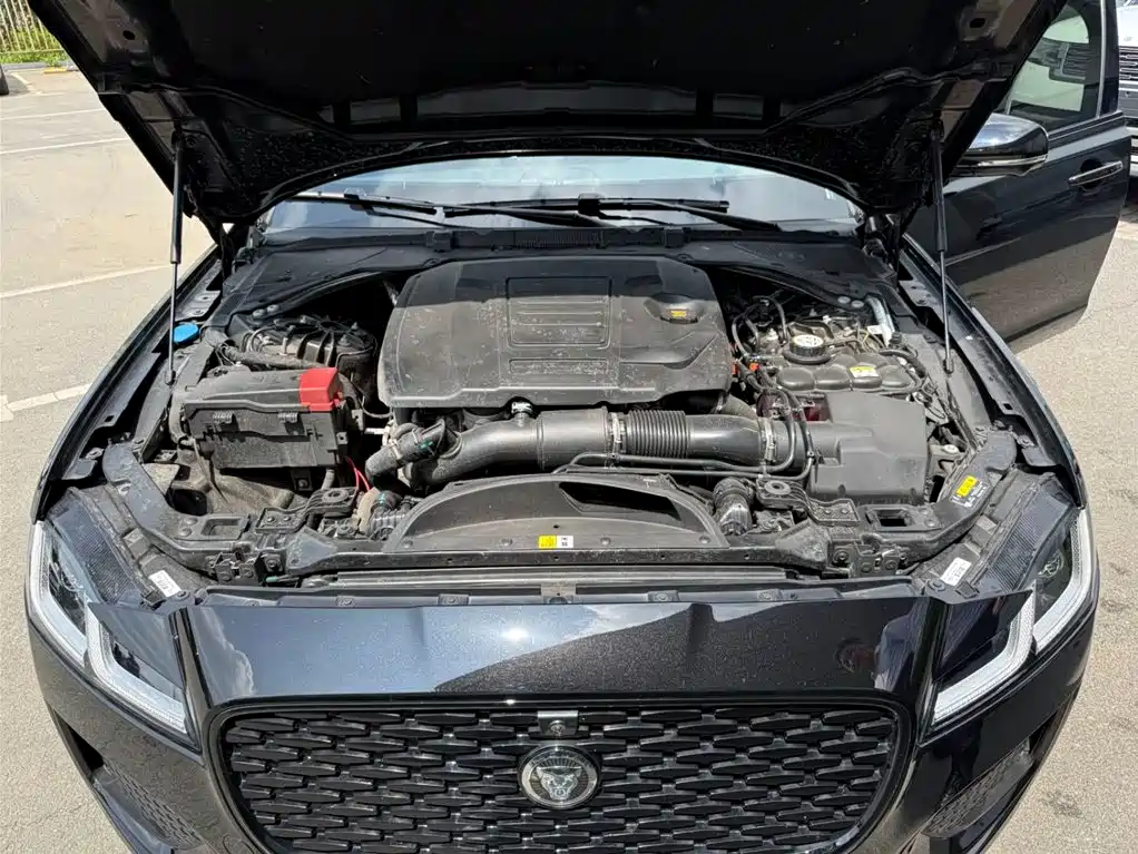 Jaguar XFL 2025 — фото 15