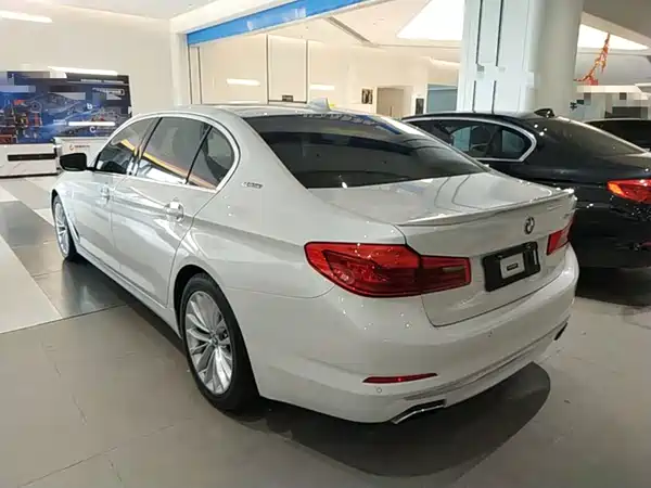 BMW 5 Series New Energy 2019