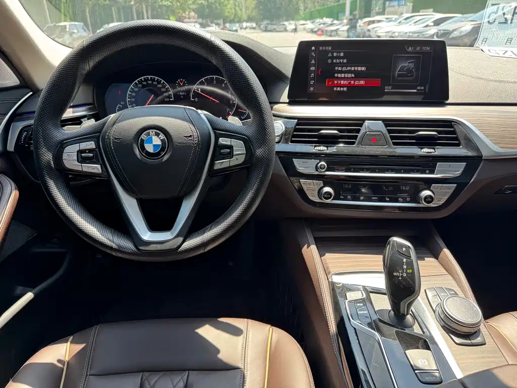 BMW 5 Series 2019 — фото 11