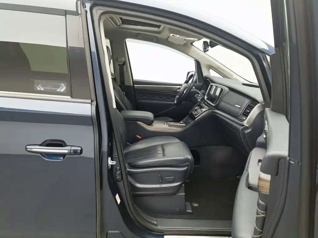 GAC Trumpchi M8 2020 — фото 23