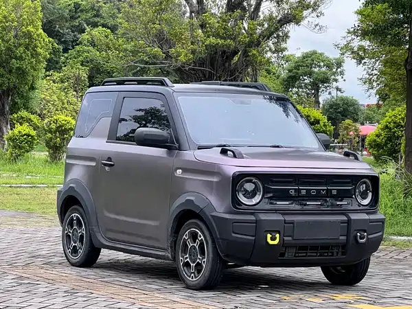 Geely Galaxy Panda 2024