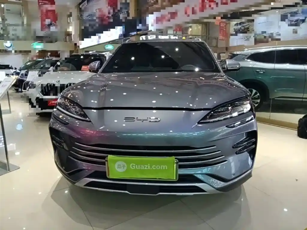 BYD PLUS New Energy 2024 — фото 3