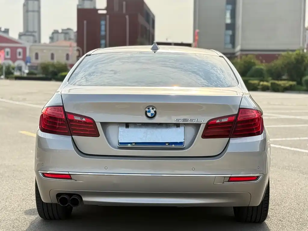 BMW 5 Series 2014 — фото 8