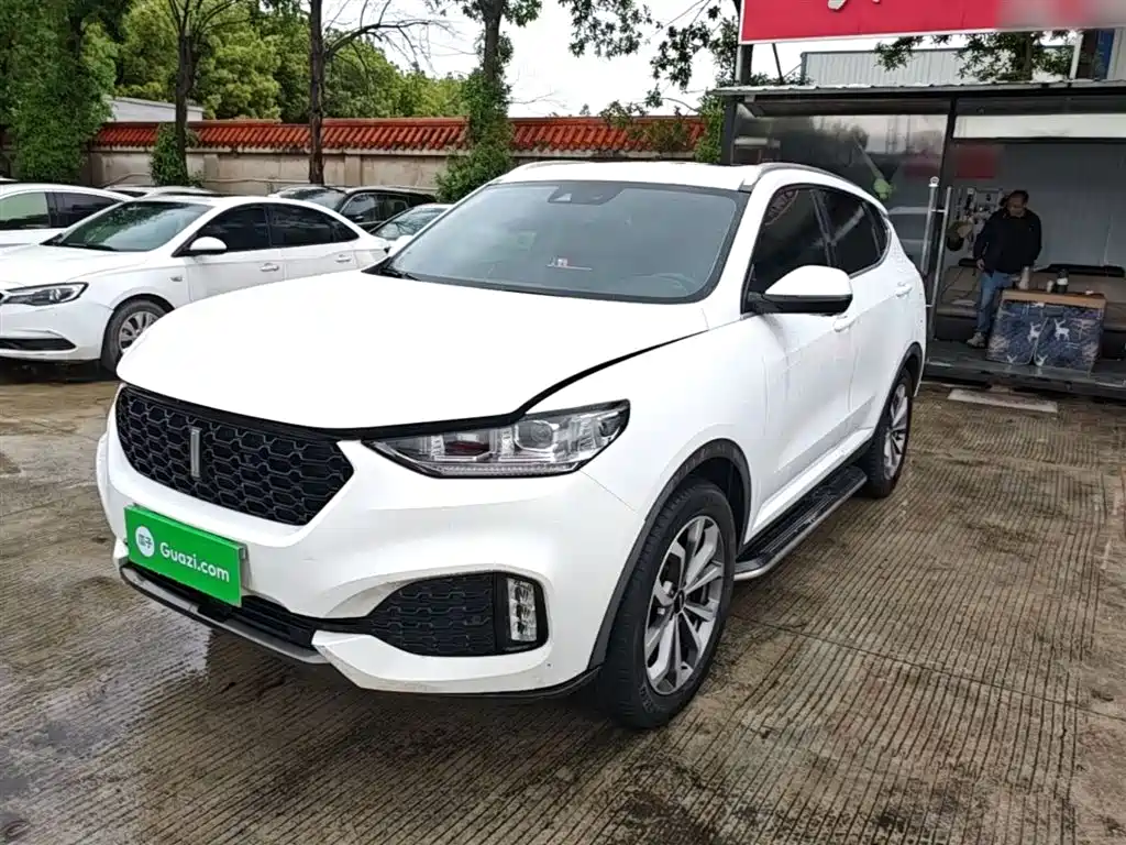 Wey VV6 2019