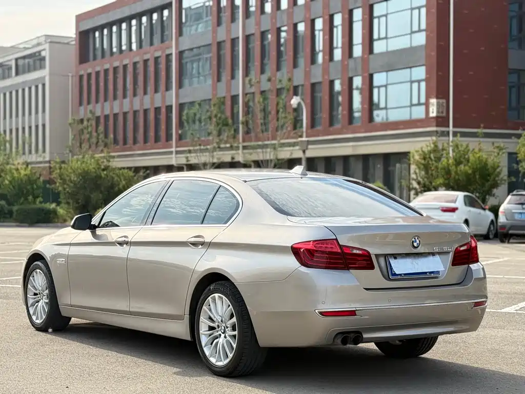 BMW 5 Series 2014 — фото 9