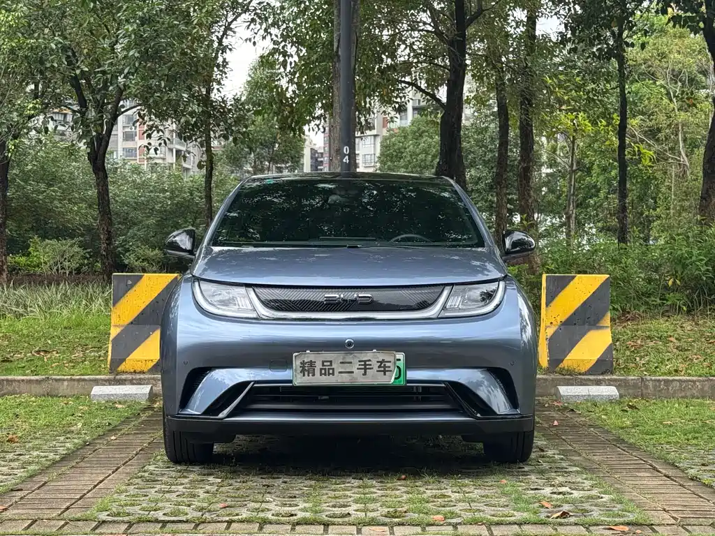 BYD Dolphin 2025